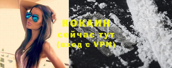 прущие крисы Вяземский
